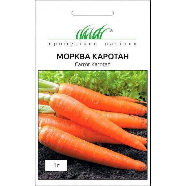 Професійне насіння Насіння Професійне насіння морква Каротан 1г - зображення 1