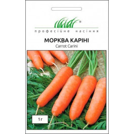 Професійне насіння Насіння Професійне насіння морква Каріні 1г