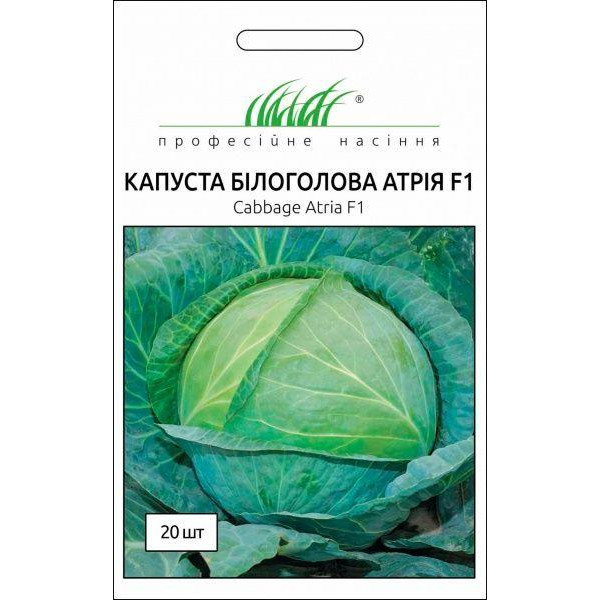 Професійне насіння Семена  капуста белокочанная Атрія F1 20 шт. - зображення 1