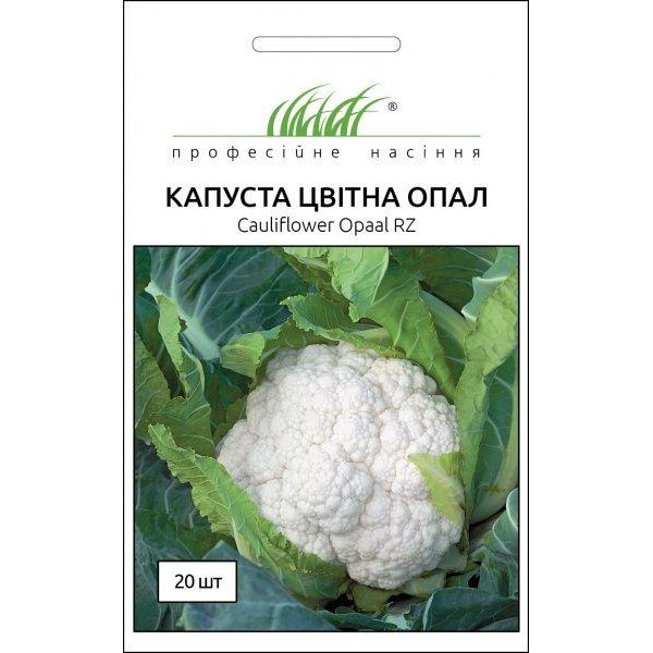 Професійне насіння Семена  капуста цветная Опал 20 шт. - зображення 1