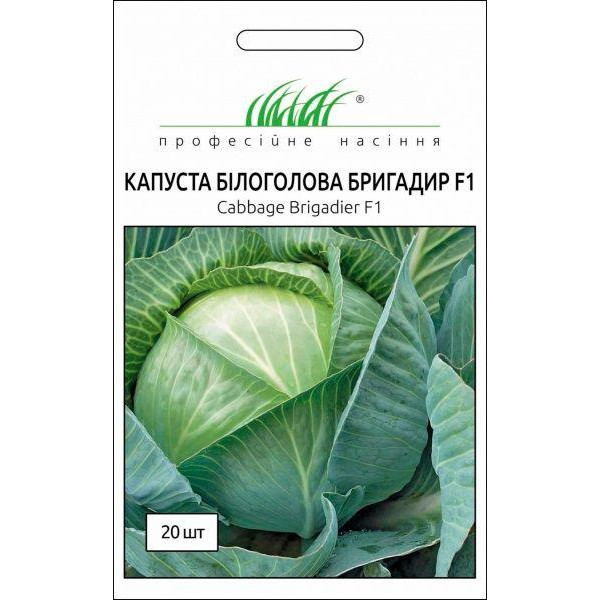Професійне насіння Семена  капуста белокочанная Бригадир F1 20 шт. - зображення 1