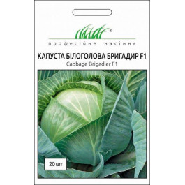   Професійне насіння Семена  капуста белокочанная Бригадир F1 20 шт.