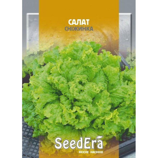 ТМ "SeedEra" Насіння  салат листовий Сніжинка 10 г - зображення 1