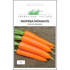 Професійне насіння Насіння Професійне насіння морква Монанта 1г