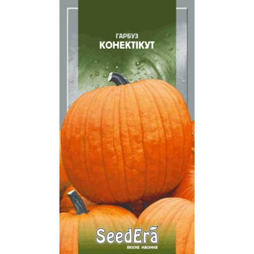 ТМ "SeedEra" Насіння Seedera гарбуз Конектікут 2г - зображення 1