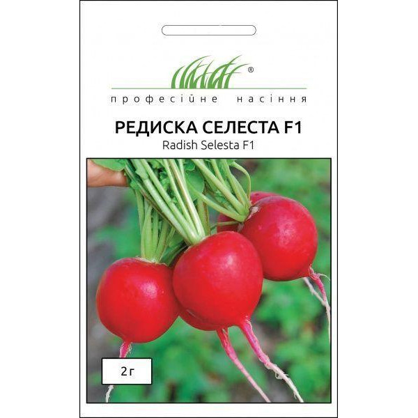 Професійне насіння Насіння  редиска Селеста F1 2г - зображення 1