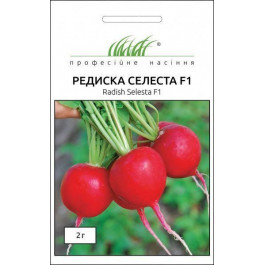   Професійне насіння Насіння  редиска Селеста F1 2г