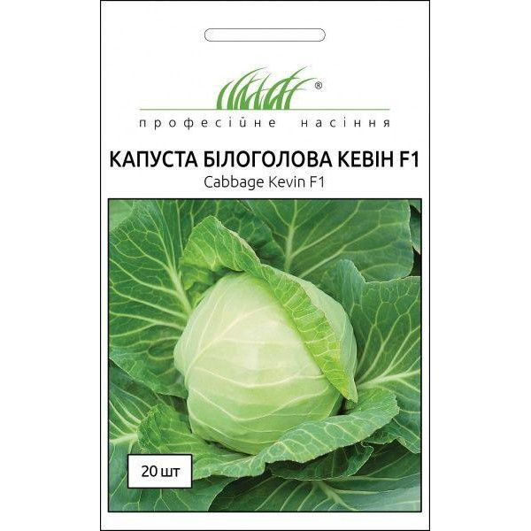 Професійне насіння Семена  капуста белокочанная Кевін F1 20 шт. - зображення 1