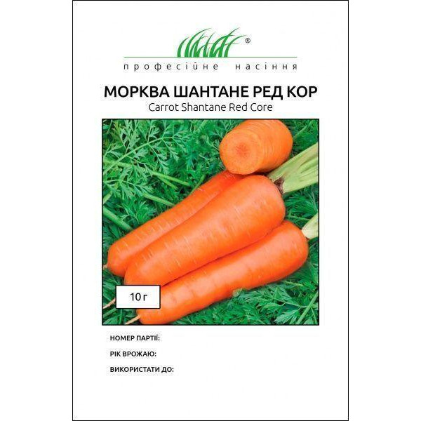 Професійне насіння Насіння  морква Шантане Ред Кор 1г - зображення 1