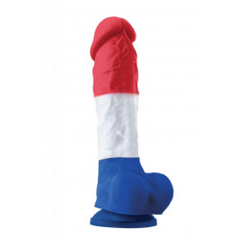   NS Novelties COLOURS PLEASURES TRICOLOR 8" DILDO (T280835)