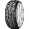 Sava Eskimo HP2 (205/55R17 95V) - зображення 1