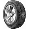 Roadstone WinGuard Ice Plus WH43 (235/50R18 97T) - зображення 1