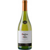 Casillero del Diablo Вино  "Chardonnay" (сухе, біле) 0.75л (BDA1VN-VCT075-007) - зображення 1