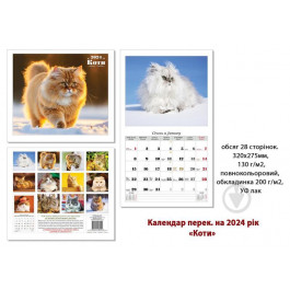 Календар перекидний КОЛАЖ Чарівні улюбленці (коти) 2023 (4820144130021)