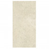 Fiandre Pietre Maximum Luna Limestone R10 270х120 Slate - зображення 1