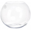 Wrzesniak Glassworks Ваза стеклянная прозрачная Аквариум 27х24 см (17-1194) - зображення 1