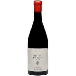 Azienda Agricola Foradori Вино червоне сухе Morei, Foradori 0.75л (BW47451)