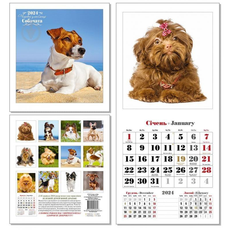 КОЛАЖ Календар перекидний  Чарівні улюбленці (Собачата) 2024, в асортименті (4820144130076) - зображення 1