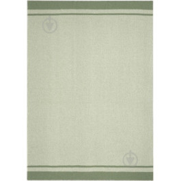Biederlack Плед Stripe green 150x200 см світло-зелений (4000141798350)