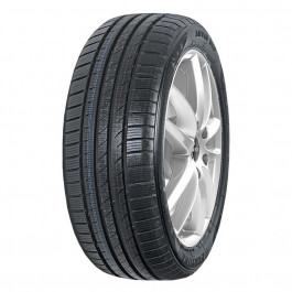   Fortuna Gowin UHP (205/45R17 88V)