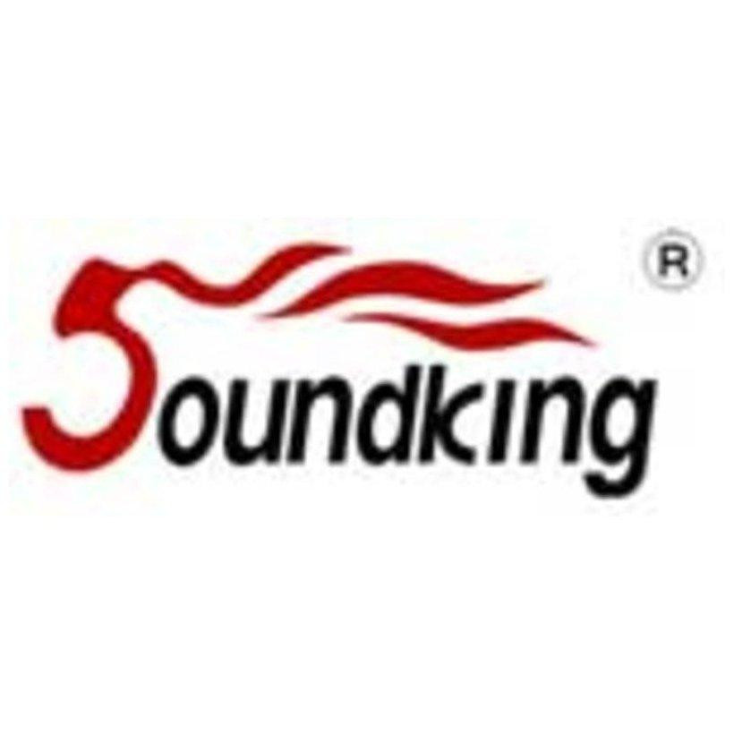Soundking SKAA800J - зображення 1