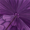 Pasotti Ombrelli Парасоля-тростина  Dahlia Purple фіолетова ручної роботи - зображення 7