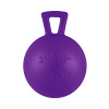 Jolly Pets Іграшка для собак  Tug-n-Toss гиря фіолетова, 8 см (0788169040357) - зображення 1