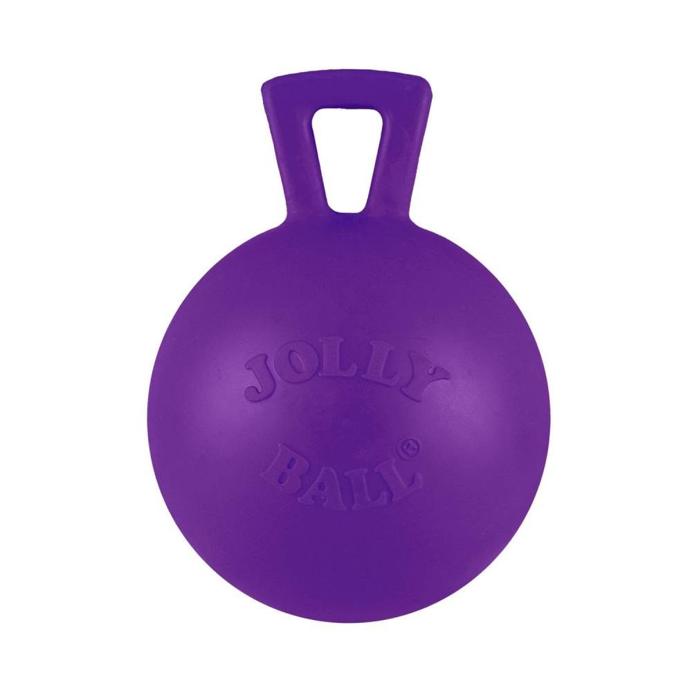 Jolly Pets Іграшка для собак  Tug-n-Toss гиря фіолетова, 10 см (0788169040456) - зображення 1