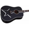 Schecter RS-1000 STAGE ACOUSTIC - зображення 4