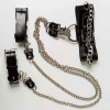 DS Fetish Набор ошейник+наручники Silver With Chain (F61267) - зображення 1