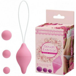 Loveshop Sexual Exercise, Pink (810214)