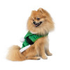 Pet Fashion Попона для собак  Santa XS-2 (PR243206) - зображення 1