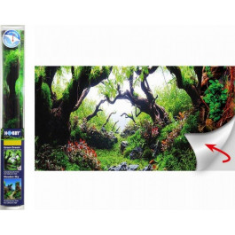 Hobby Задній фон самоклеючий  Green Dream/Wooden Sky 100x50 см (HB31232) (4011444312327)