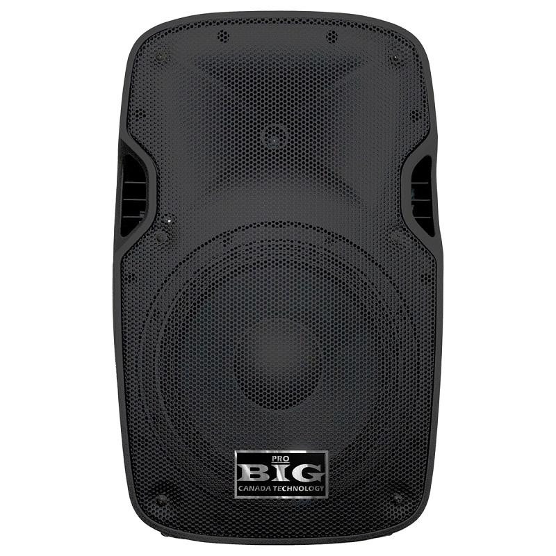 BIG JB15ACTIVE550W MP3/FM/BT - зображення 1