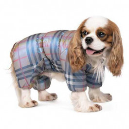 Pet Fashion Комбінезон для собак «Indigo» картавий XS (PR428915)