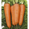 Професійне насіння Семена  морковь Курода Шантане 1г (4820176692153) - зображення 1