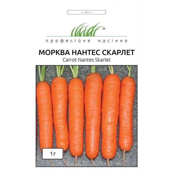 Професійне насіння Семена  морковь Нантес Скарлет 1г (4820176692238) - зображення 1