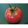 Професійне насіння Семена  томат высокорослый Пинк Топ F1 8 шт. (4823058200873) - зображення 2