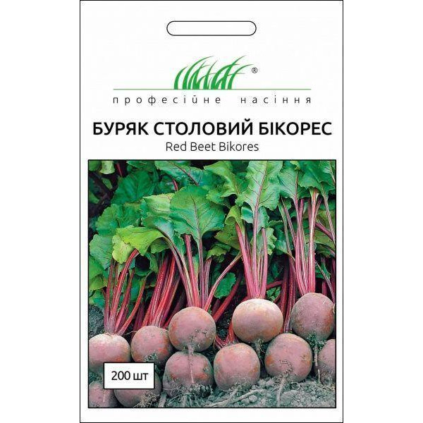 Професійне насіння Семена Професійне насіння свекла столовая Бікорес 200 шт. - зображення 1