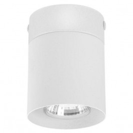   TK Lighting Точечный светильник  3406 Vico