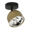 TK Lighting Спот  3424 Altea - зображення 1