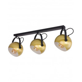   TK Lighting 4196 Parma Black