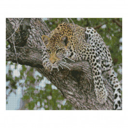 STRATEG Алмазная мозаика  «Леопард на дереве», 40х50 см FA10050