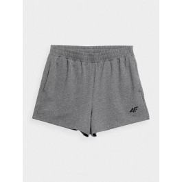   4F Спортивні шорти  Shorts Fnk F200 4FSS23TFSHF200-24M XS Сірі (5904698284184)