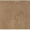 Forbo Allura Wood (w60075 forest green oak) - зображення 1