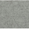 Forbo Allura Abstract (a63624 silver metal brush) - зображення 1