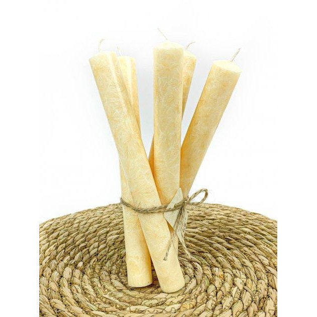 Plamis Свічки столові із пальмового воску  Кремовий 5 шт (S-22200/5-02) - зображення 1