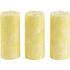 CandlesBio Набір свічок  Palm wax з пальмового воску 3 шт Жовті (WP 03 70/150_3) - зображення 1