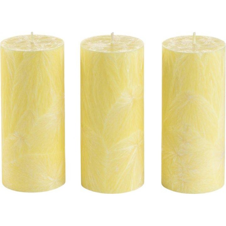 CandlesBio Набір свічок  Palm wax з пальмового воску 3 шт Жовті (WP 03 70/150_3) - зображення 1