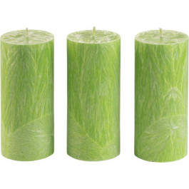 CandlesBio Набір свічок  Palm wax із пальмового воску 3 шт Лайм (WP 02 70/150_3)